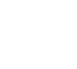 DP Academy